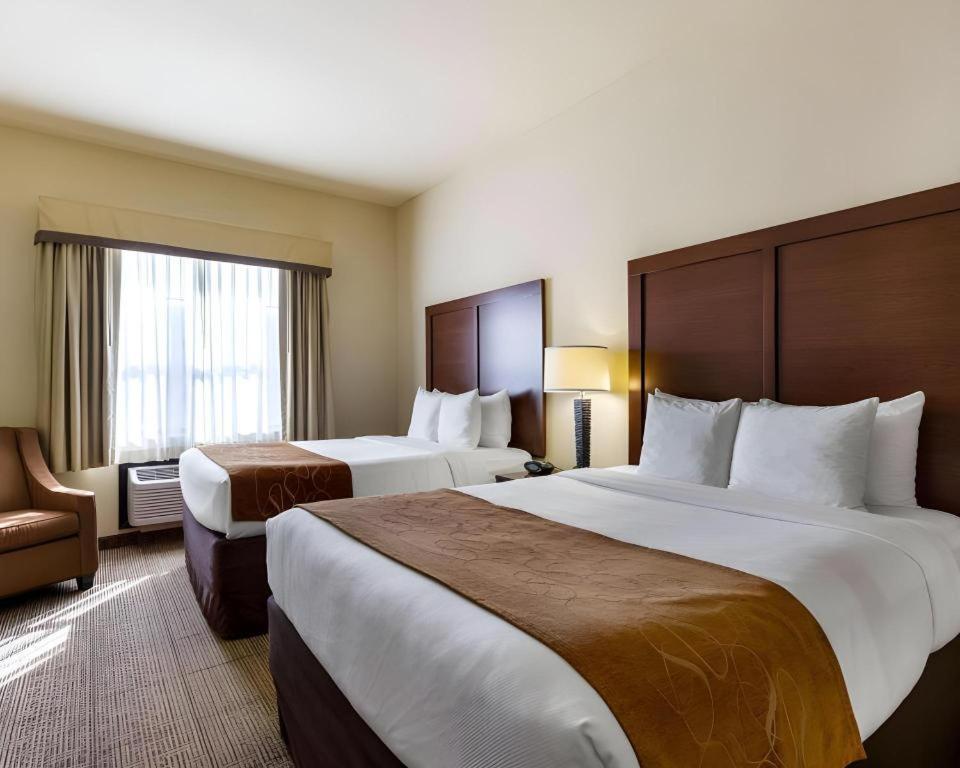Comfort Suites Near Nasa - Clear Lake Webster Eksteriør bilde