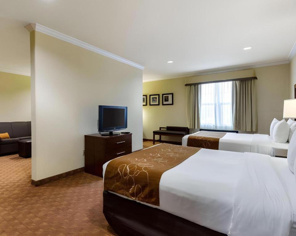 Comfort Suites Near Nasa - Clear Lake Webster Eksteriør bilde