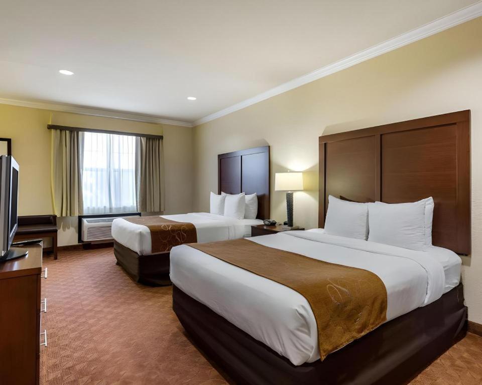 Comfort Suites Near Nasa - Clear Lake Webster Eksteriør bilde