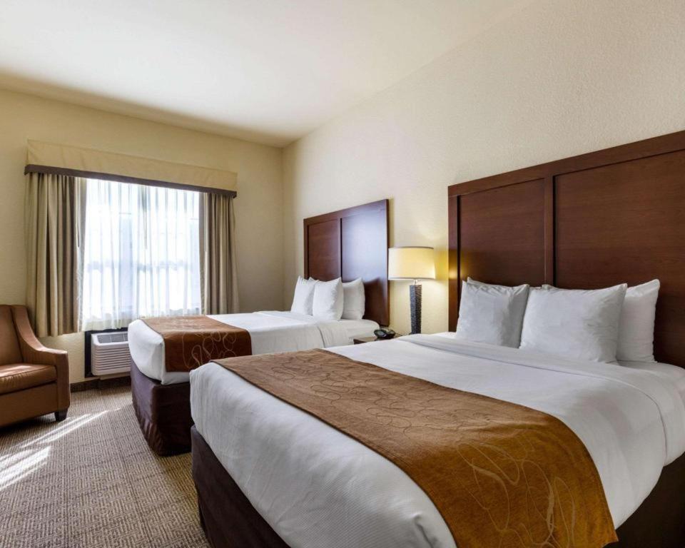 Comfort Suites Near Nasa - Clear Lake Webster Eksteriør bilde