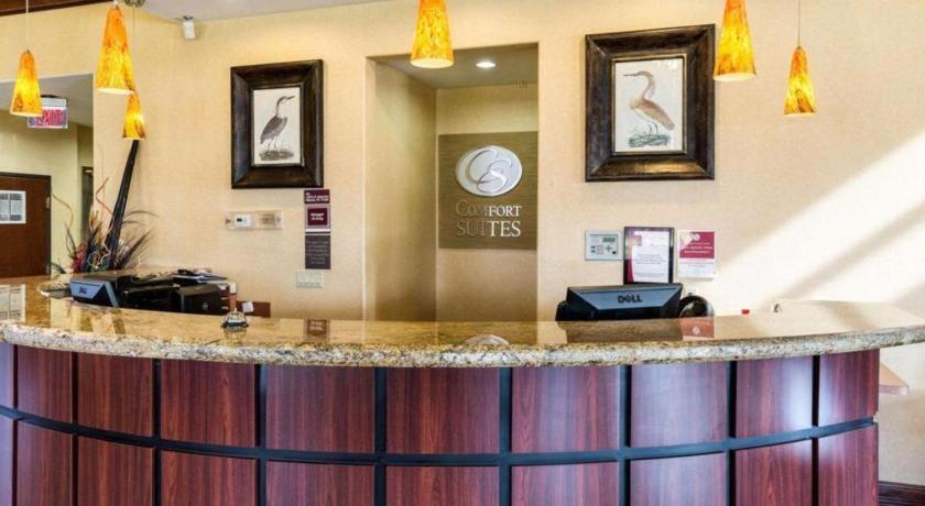 Comfort Suites Near Nasa - Clear Lake Webster Eksteriør bilde
