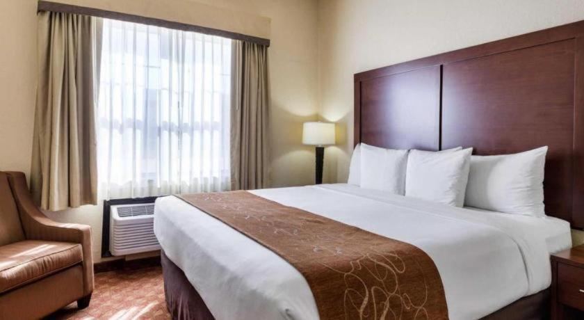 Comfort Suites Near Nasa - Clear Lake Webster Eksteriør bilde
